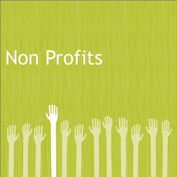 nonprofits_0012.jpg